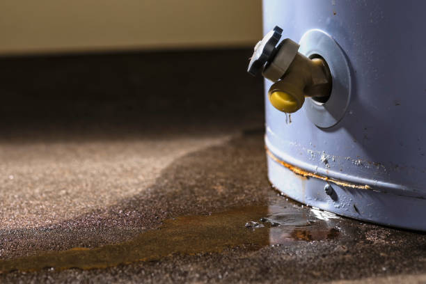 Best 24/7 water damage repair  in Wayne, MI