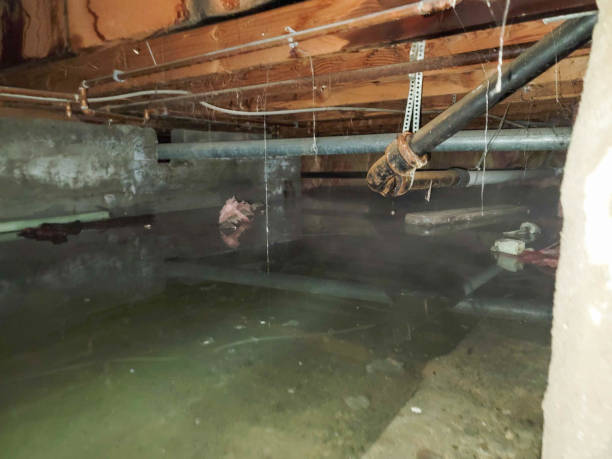 Best 24-hour water damage restoration  in Wayne, MI