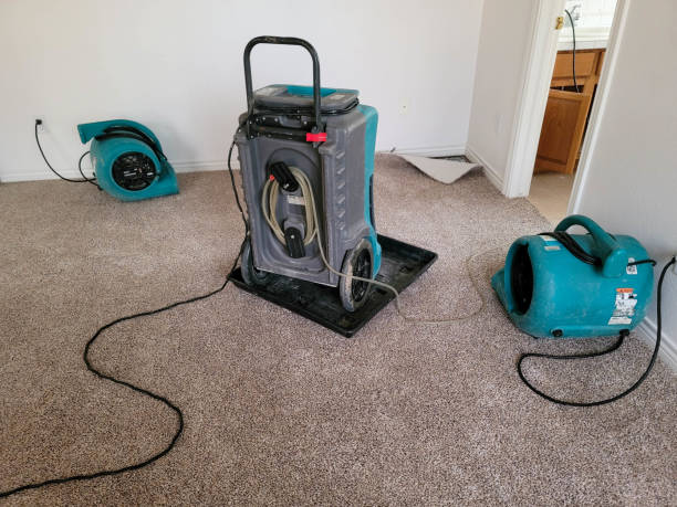 Best Water damage mitigation services  in Wayne, MI