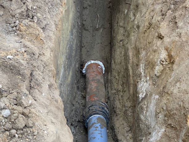 Best Sewage cleanup and water damage restoration  in Wayne, MI