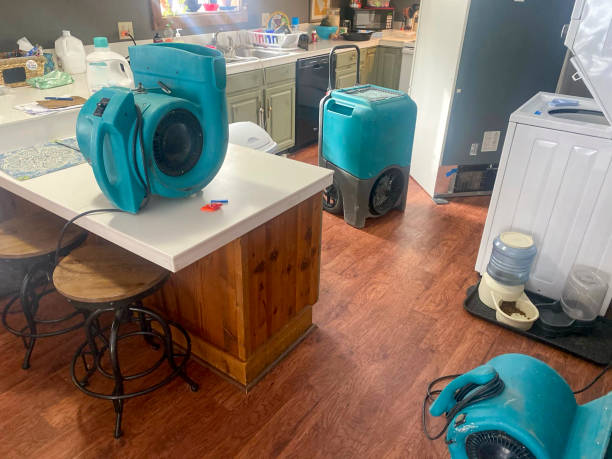 Best Local water damage restoration  in Wayne, MI