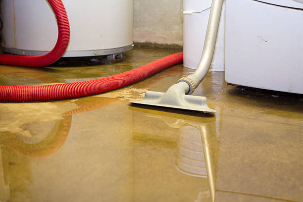 Best Flood damage cleanup  in Wayne, MI